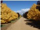 “Jerula” 226 Darby Falls Road, Cowra NSW 2794