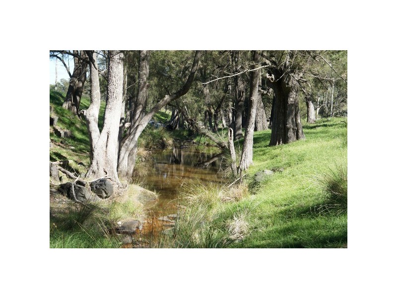 “Spring Valley” 384 Dry Creek Road, Bundarra NSW 2359