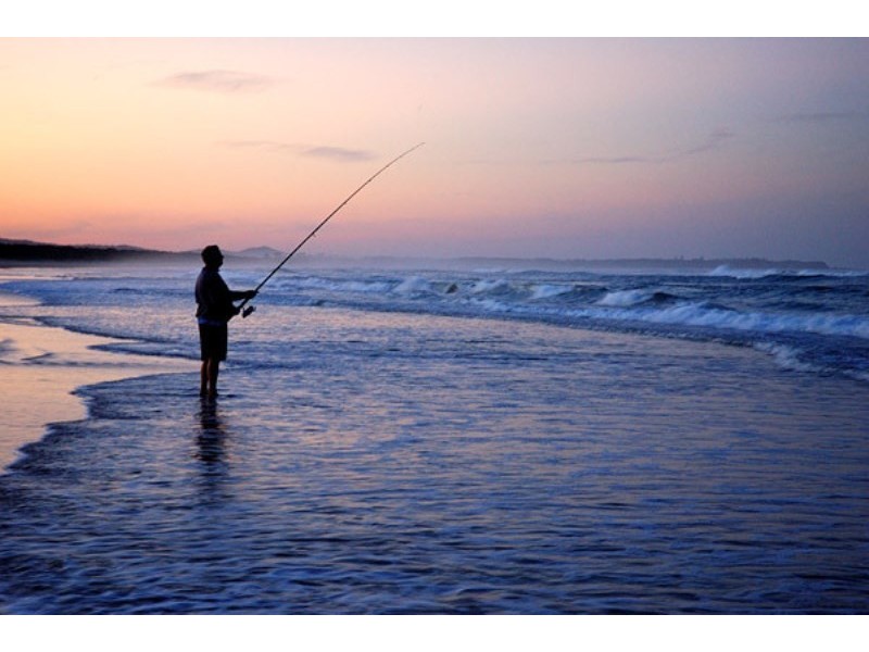 Palmers Island NSW 2463
