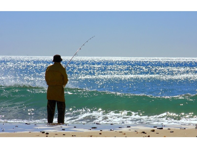 Palmers Island NSW 2463