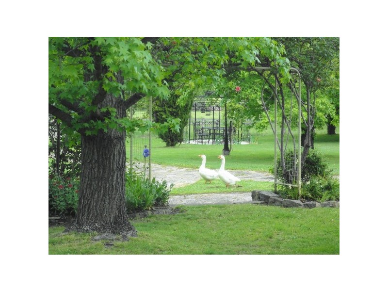 “Silverwood” 3123 Rugby Road, Rugby NSW 2583