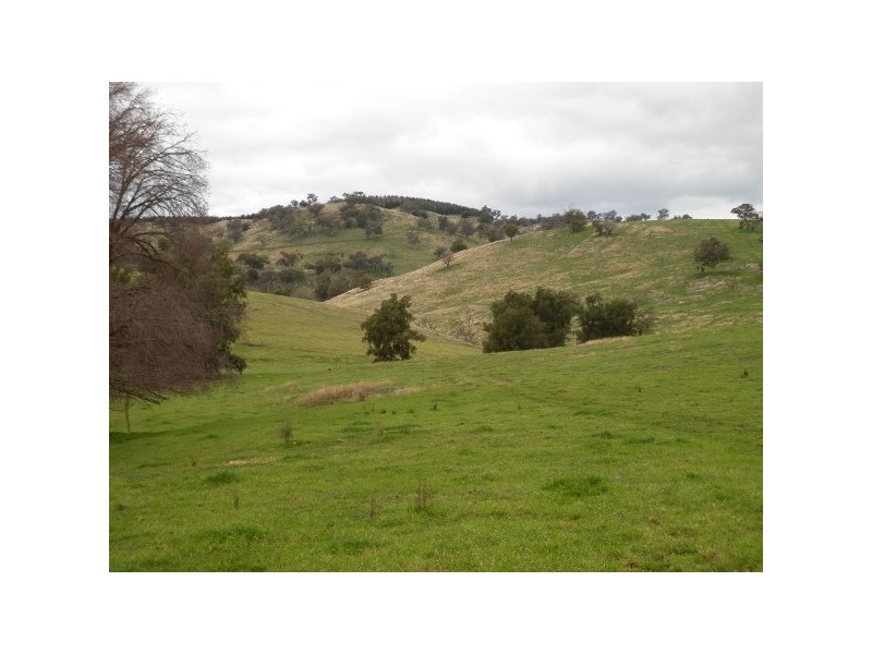 “Oak Creek”, Gundagai NSW 2722