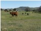 “Oak Creek”, Gundagai NSW 2722