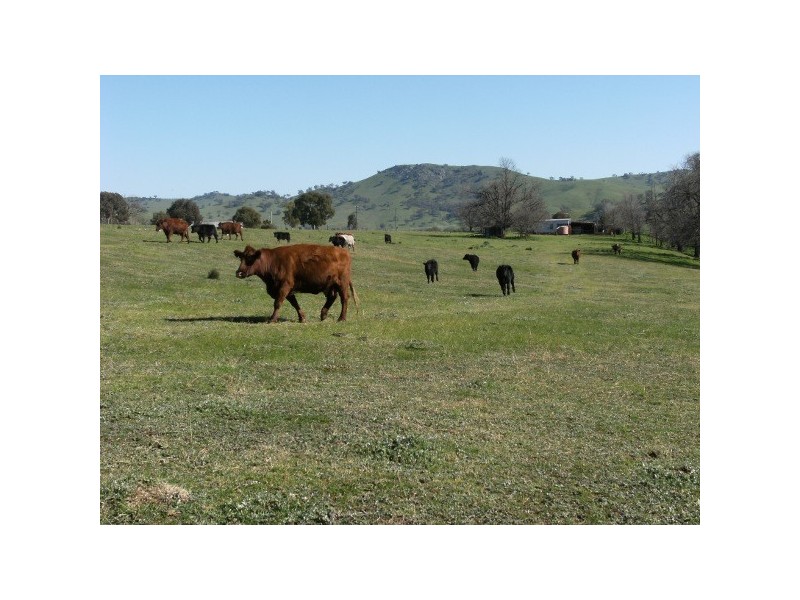 “Oak Creek”, Gundagai NSW 2722