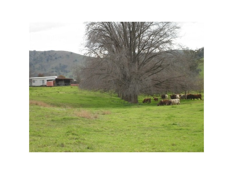 “Oak Creek”, Gundagai NSW 2722