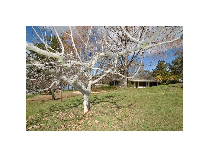 “Lakeside Park” 102 Wallace Lane, Orange NSW 2800