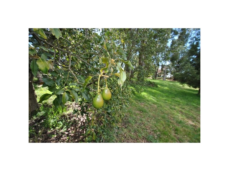 “Lakeside Park” 102 Wallace Lane, Orange NSW 2800