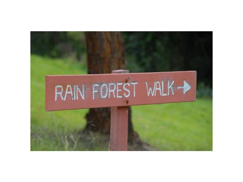 “The Tops Organic Retreat” 384 Jems Creek Road, Barrington Tops NSW 2422