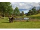 “The Tops Organic Retreat” 384 Jems Creek Road, Barrington Tops NSW 2422