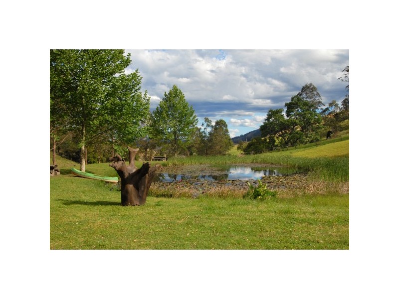 “The Tops Organic Retreat” 384 Jems Creek Road, Barrington Tops NSW 2422