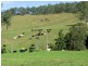 “The Highlands” 583 Wallaringa Road, Dungog NSW 2420