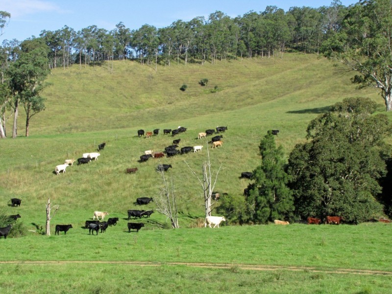 “The Highlands” 583 Wallaringa Road, Dungog NSW 2420