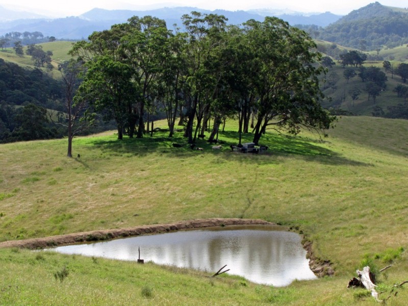 “The Highlands” 583 Wallaringa Road, Dungog NSW 2420