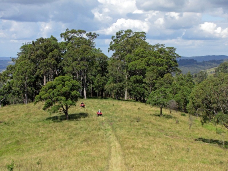 “The Highlands” 583 Wallaringa Road, Dungog NSW 2420