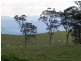 “The Highlands” 583 Wallaringa Road, Dungog NSW 2420