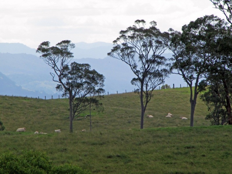 “The Highlands” 583 Wallaringa Road, Dungog NSW 2420