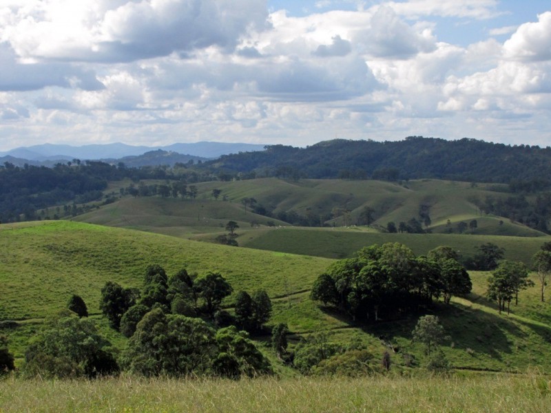 “The Highlands” 583 Wallaringa Road, Dungog NSW 2420