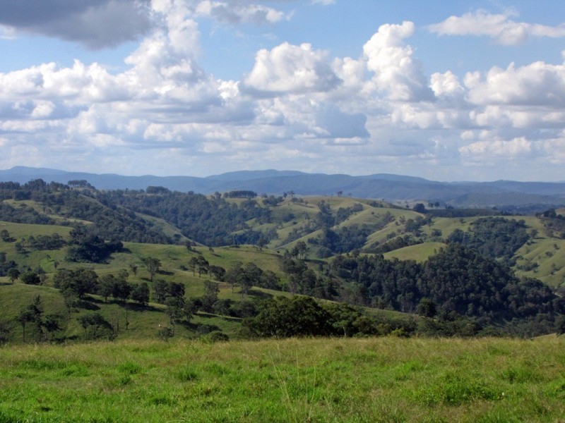 “The Highlands” 583 Wallaringa Road, Dungog NSW 2420
