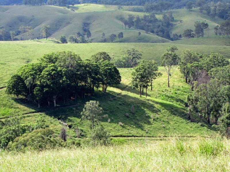 “The Highlands” 583 Wallaringa Road, Dungog NSW 2420