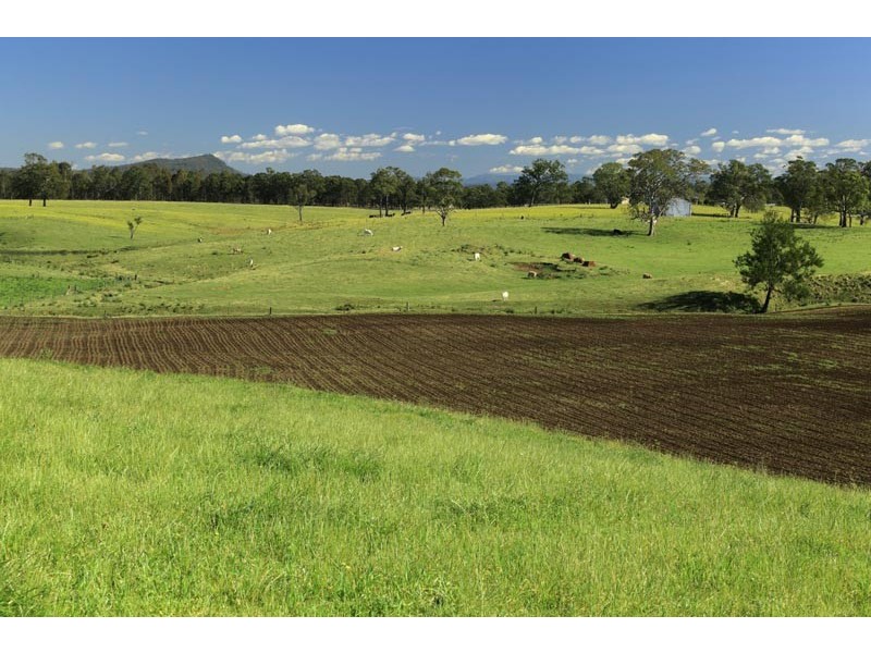 “Warrawee”, Paterson NSW 2421