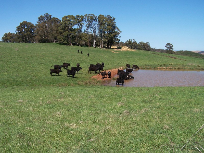 “Merrill” 380 Wrens Nest Road, Porters Retreat NSW 2787