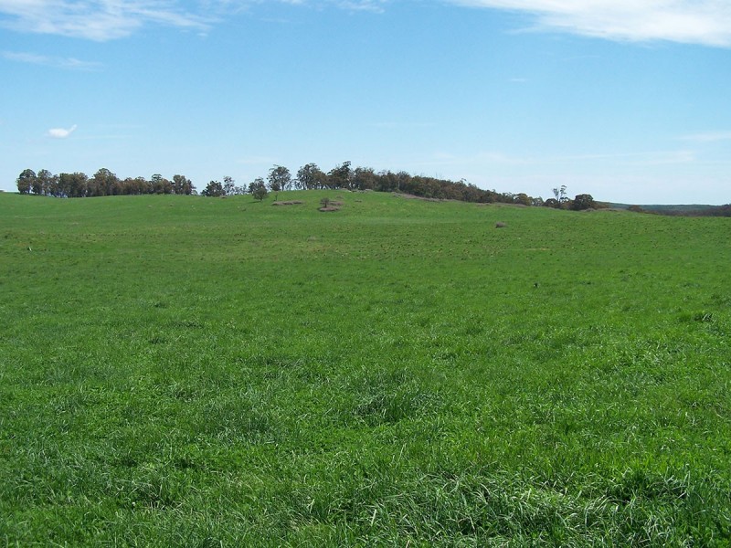 “Merrill” 380 Wrens Nest Road, Porters Retreat NSW 2787