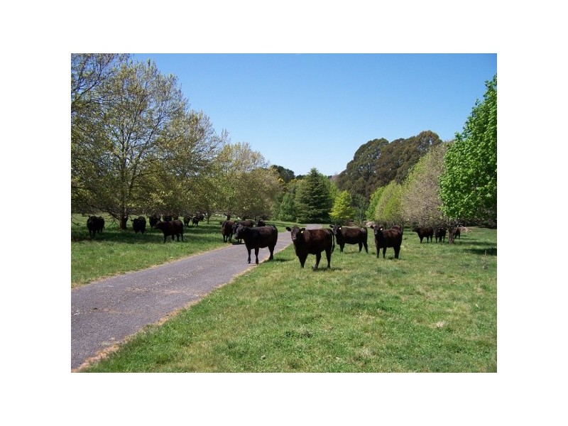 “Winton Park” 69 Swatchfield Road, Black Springs NSW 2787