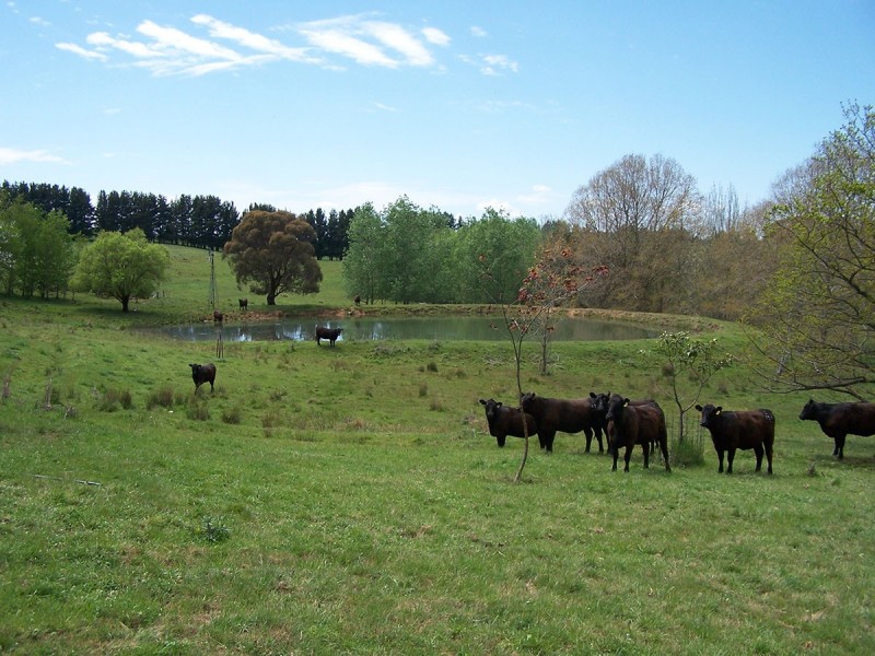 “Winton Park” 69 Swatchfield Road, Black Springs NSW 2787