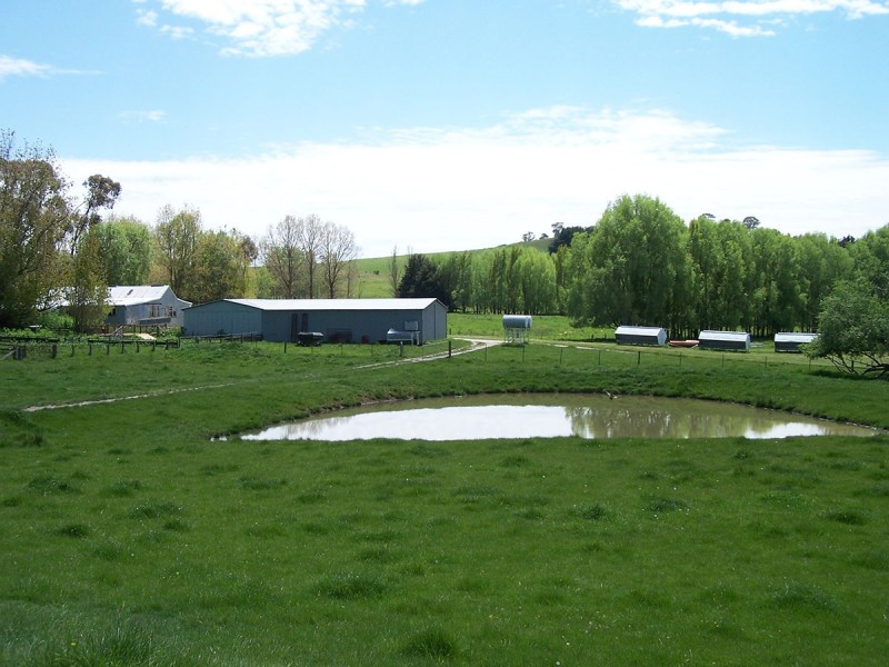 “Winton Park” 69 Swatchfield Road, Black Springs NSW 2787