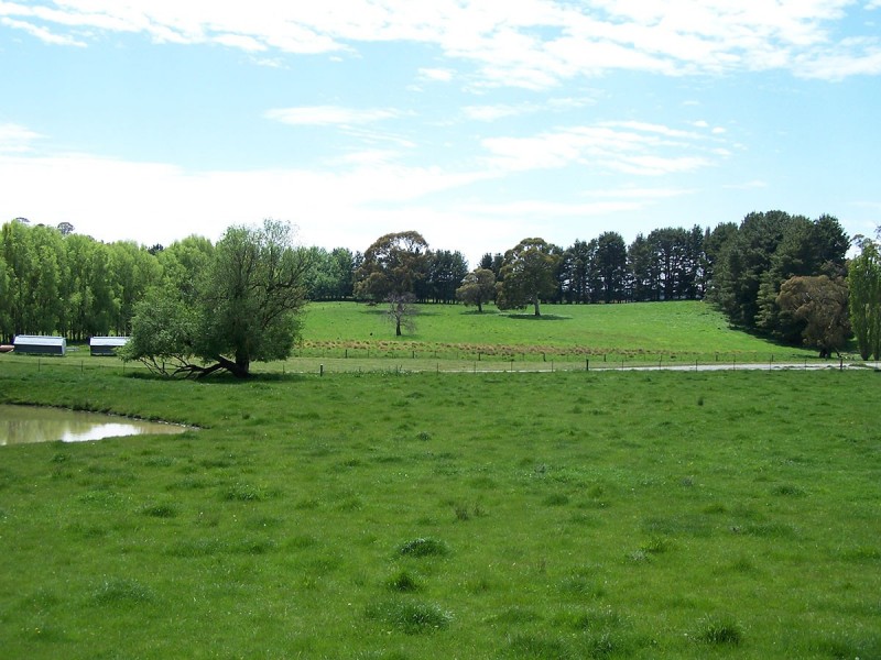 “Winton Park” 69 Swatchfield Road, Black Springs NSW 2787