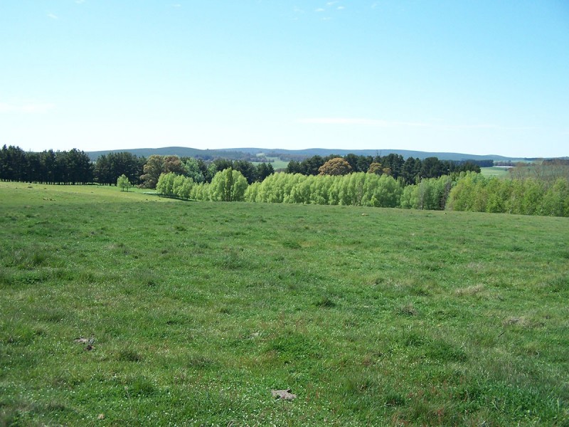 “Winton Park” 69 Swatchfield Road, Black Springs NSW 2787