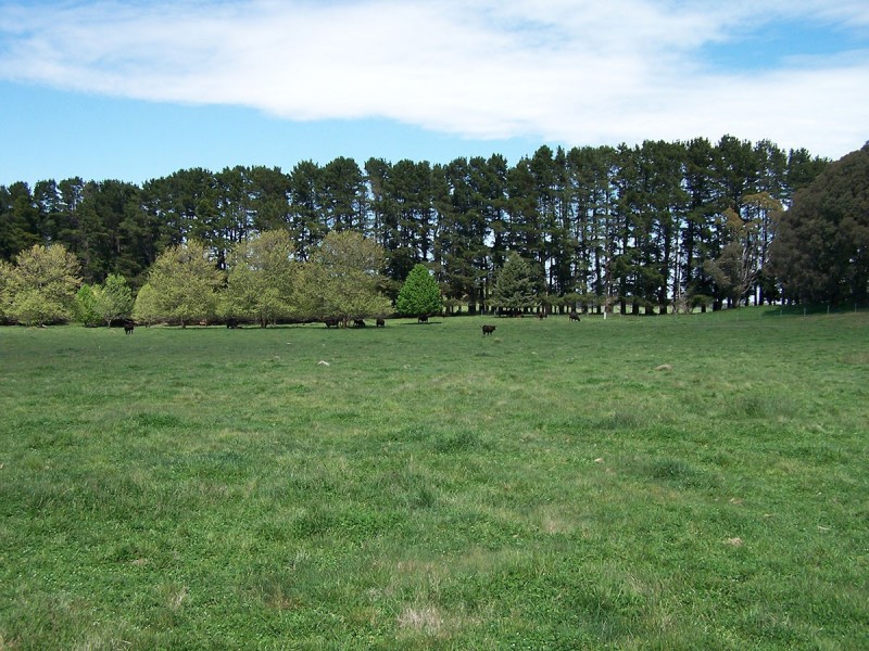 “Winton Park” 69 Swatchfield Road, Black Springs NSW 2787