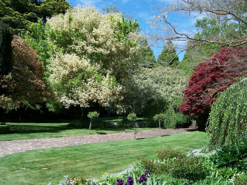 “Winton Park” 69 Swatchfield Road, Black Springs NSW 2787