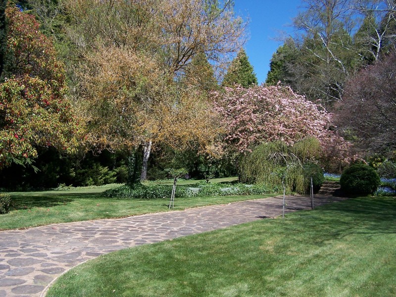 “Winton Park” 69 Swatchfield Road, Black Springs NSW 2787