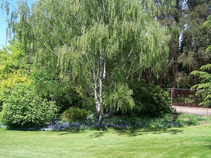 “Winton Park” 69 Swatchfield Road, Black Springs NSW 2787