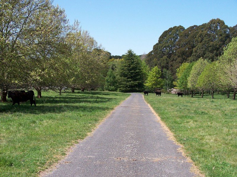 “Winton Park” 69 Swatchfield Road, Black Springs NSW 2787