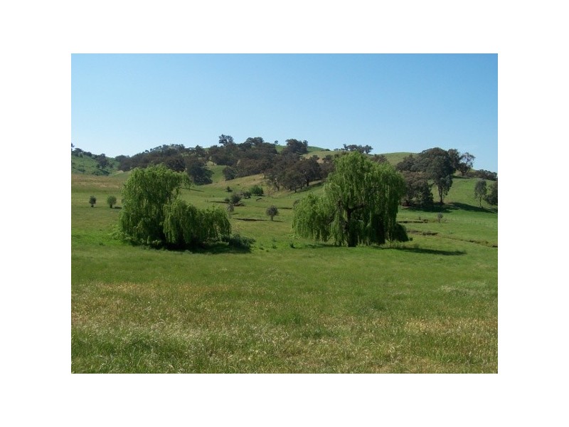“Davislea” 2076 Taylors Flat Road, Boorowa NSW 2586