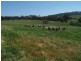 “Davislea” 2076 Taylors Flat Road, Boorowa NSW 2586