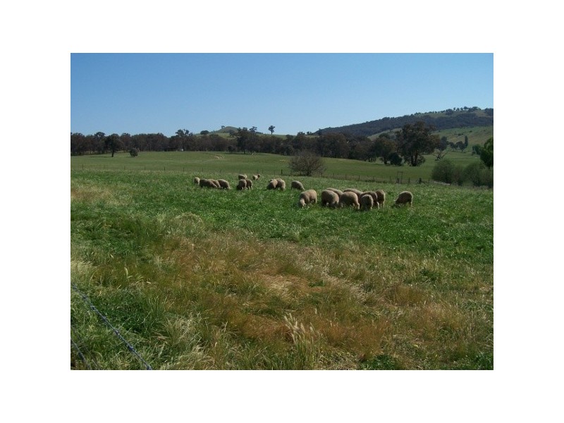 “Davislea” 2076 Taylors Flat Road, Boorowa NSW 2586