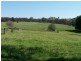 “Davislea” 2076 Taylors Flat Road, Boorowa NSW 2586