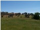 “Davislea” 2076 Taylors Flat Road, Boorowa NSW 2586