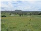 Nymboida NSW 2460