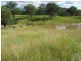 Nymboida NSW 2460