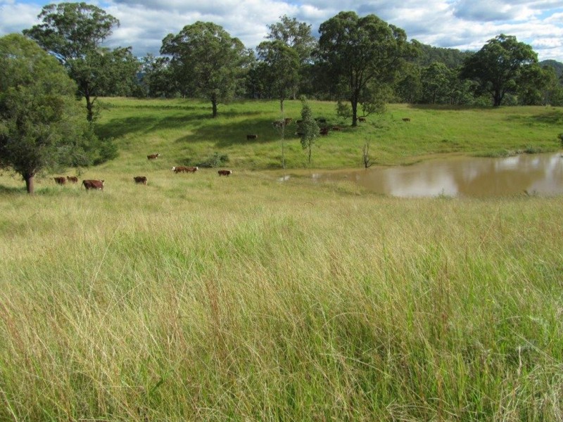 Nymboida NSW 2460