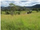 Nymboida NSW 2460