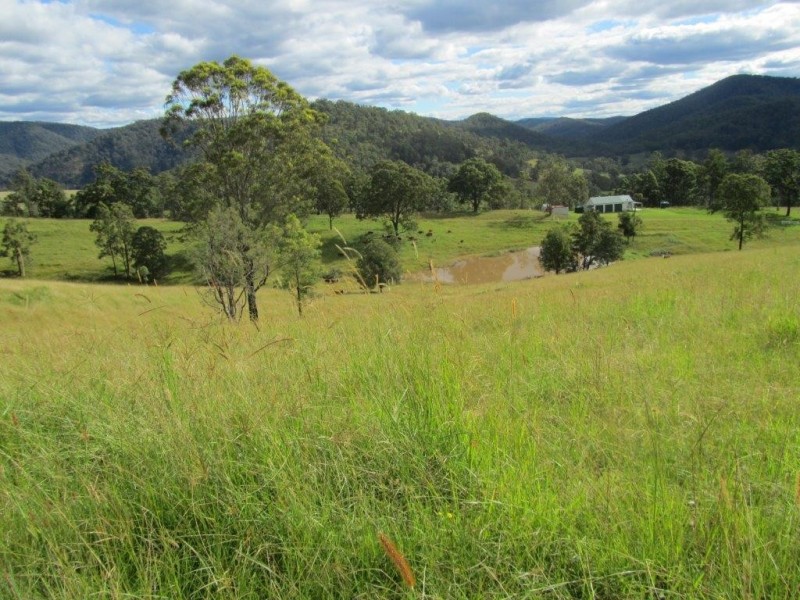 Nymboida NSW 2460