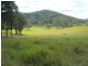 Nymboida NSW 2460