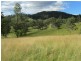 Nymboida NSW 2460