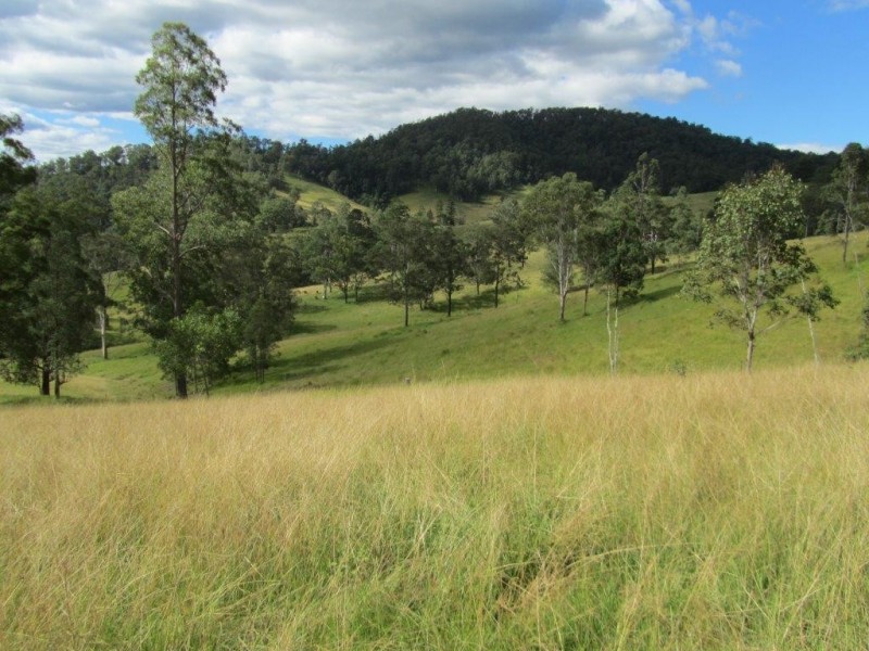 Nymboida NSW 2460