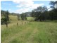 Nymboida NSW 2460
